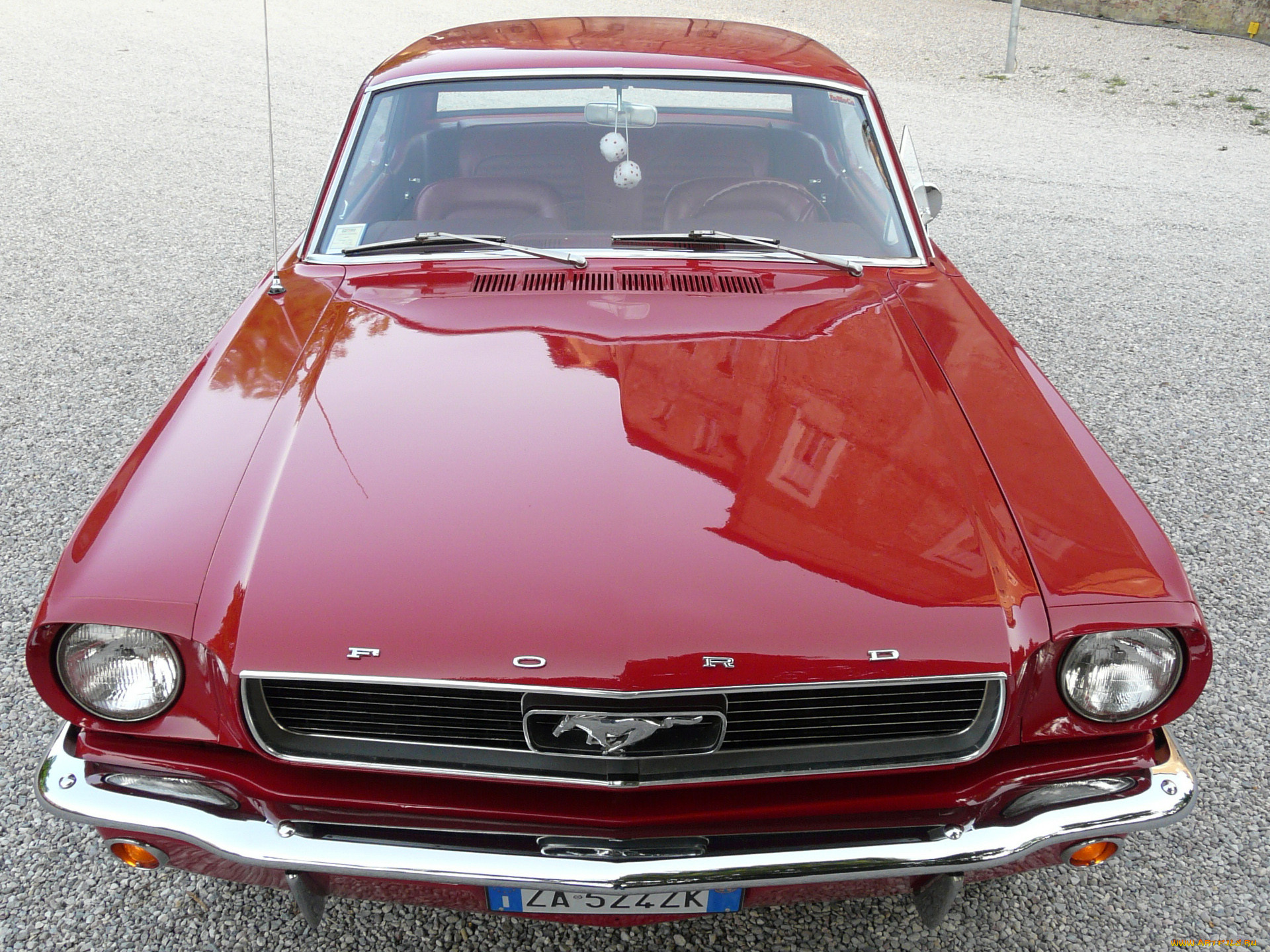 , mustang